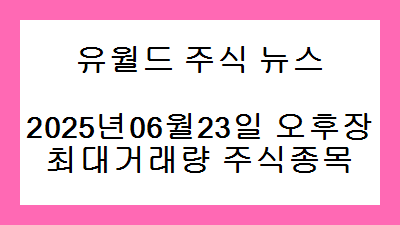 2025년06월23일 오후장 최대거래량 주식종목